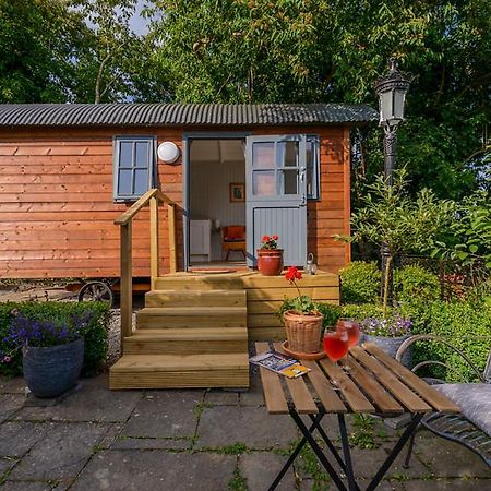 Hawthorn Hut Kilkenny Glamping At Jenkinstown House Ξενοδοχείο Jenkinstown Park Εξωτερικό φωτογραφία