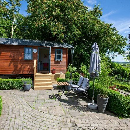Hawthorn Hut Kilkenny Glamping At Jenkinstown House Ξενοδοχείο Jenkinstown Park Εξωτερικό φωτογραφία