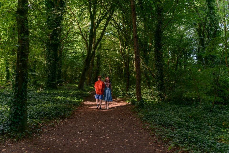 Hawthorn Hut Kilkenny Glamping At Jenkinstown House Ξενοδοχείο Jenkinstown Park Εξωτερικό φωτογραφία